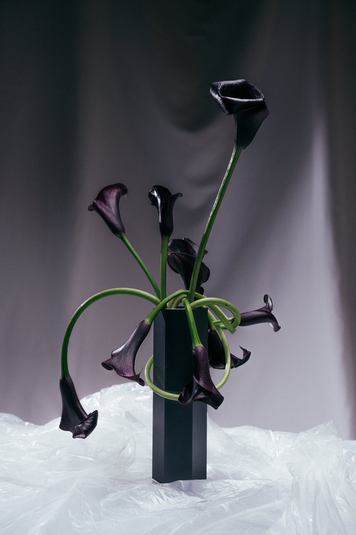 VASE 01
