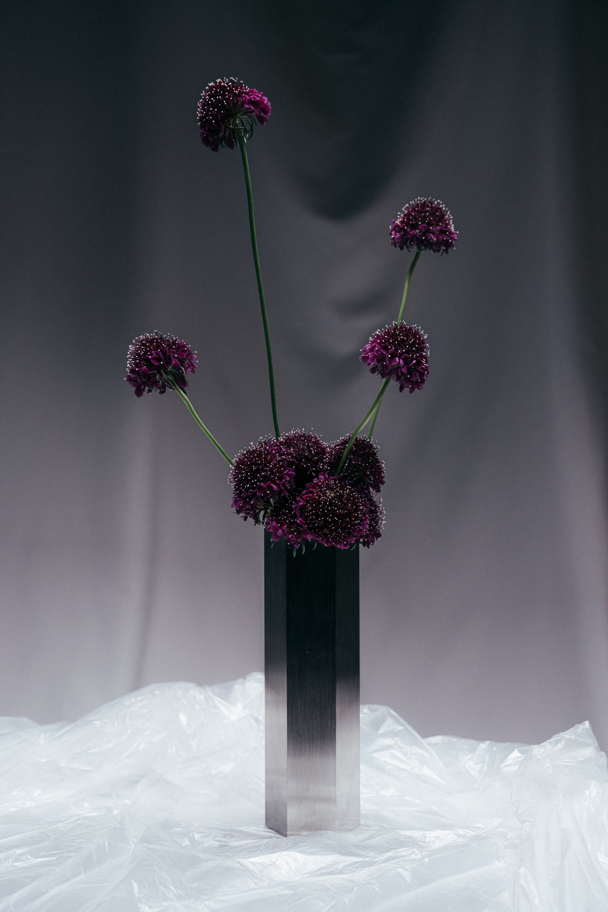 VASE 01