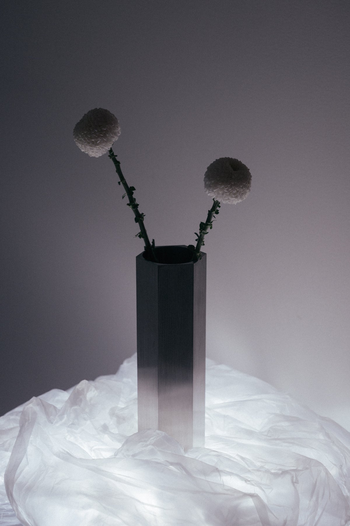 VASE 01